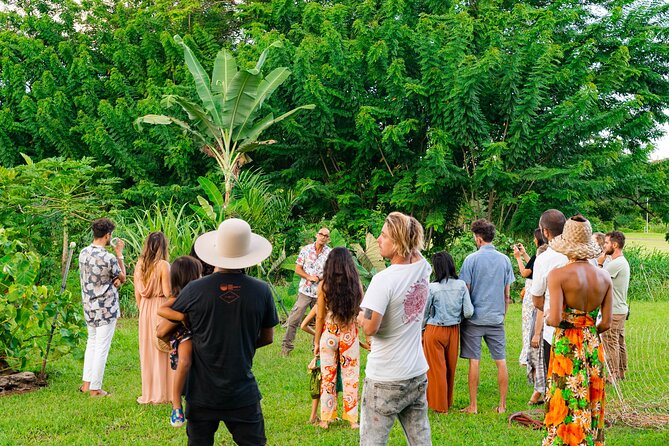 Farm and Food Experience in Kilauea - The 2-hour flow: what you’ll do from start to finish