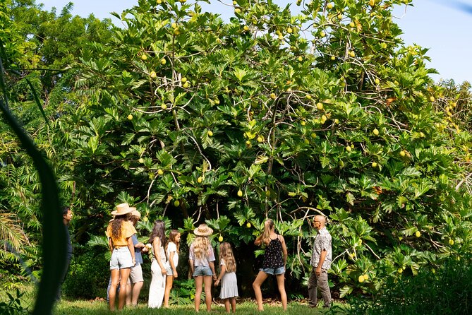 Farm and Food Experience in Kilauea - Price and value: is $39 fair for two hours?