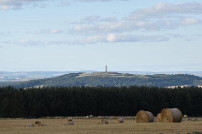 Farm Attraction - Highland Cows, Animal Feeding, Wholesome fun! - Best For: Families, Cow Fans, and Calm Outdoorsy Days