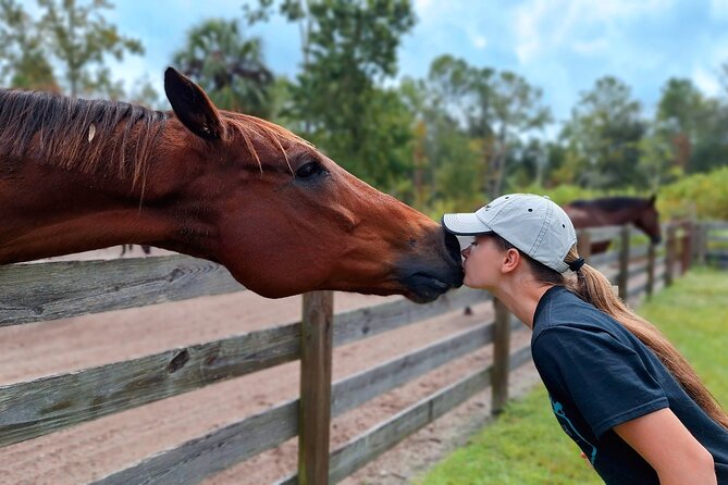 Farm Experience with Ponies, Bunnies, Chickens and Goats - Entering Cheyne Ranch in Oviedo: why it feels like a small farm day