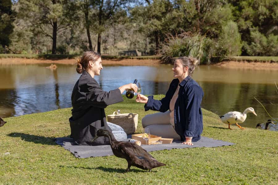 Farm Picnic for 2 adults - Green Olive at Red Hill: what a sustainable farm picnic really means