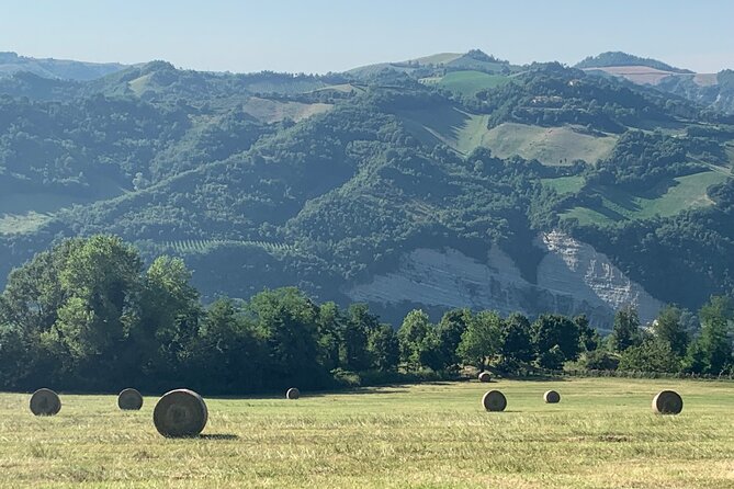 FARM STAY EXPERIENCE & DOZZA - Private Day Tour From Bologna - The lunch in Fontanelice: three courses, wine, and homemade pasta