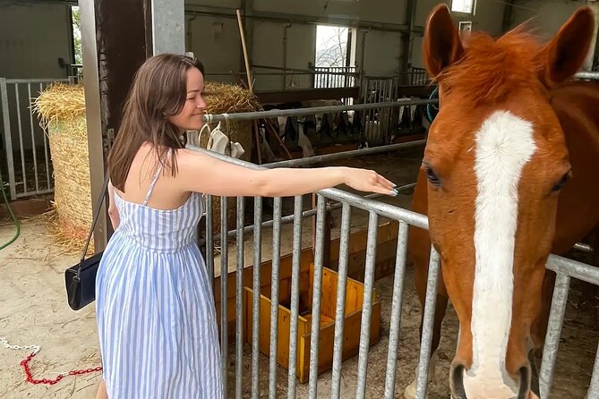 FARM STAY EXPERIENCE & DOZZA - Private Day Tour From Bologna - The price question: is $472.21 per person worth it?