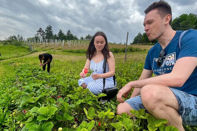FARM STAY EXPERIENCE & DOZZA - Private Day Tour From Bologna - Meeting point and timing: a private day starting at 9:30