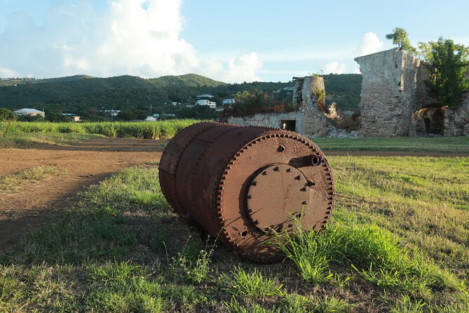 Farm to Bottle Tour at Prosperity Farm Distillery - Sustainable sugarcane farming: what you’re actually learning