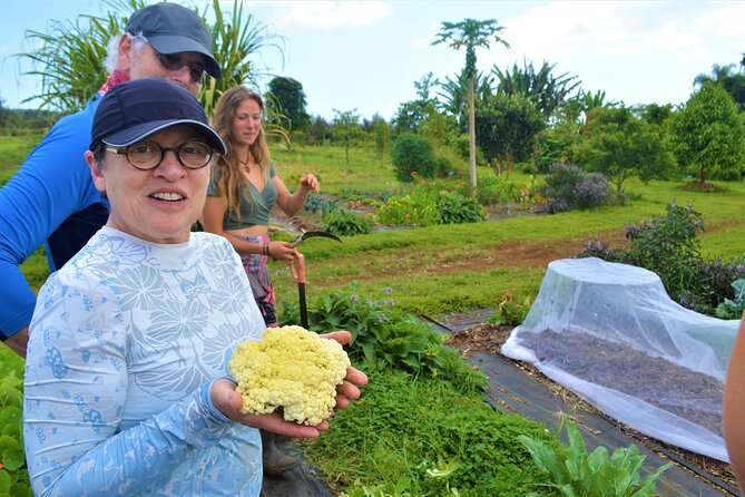 Farm to Table Cooking Class at Kulaniapia Falls - Key things I’d plan around