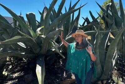 Farm to Table Cooking Experience in San Miguel - Seeing the Farm Up Close: Animals, Plants, and What You’ll Notice
