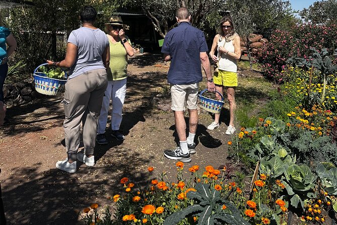 Farm to Table Cooking Experience in San Miguel - Included Drinks: Aguas Frescas, Beer, and Regional Wine