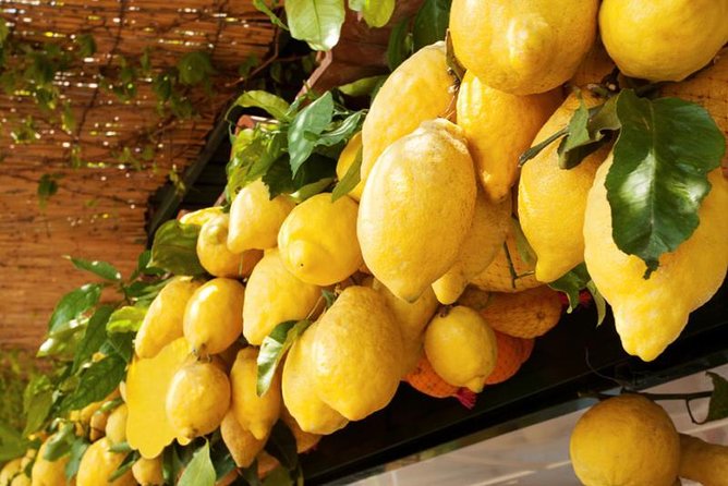 Farm-to-Table Experience: Olive Oil, Garden Tour & Nonna’s Lunch - Grandma lunch: what you eat after the farm walk