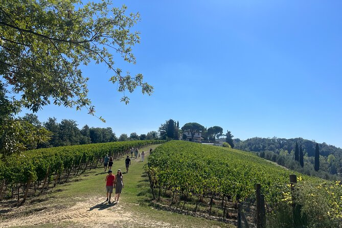 Farm To table Experience on an organic hilltop estate in Tuscany - Florence to San Miniato: the easiest way to reach the countryside