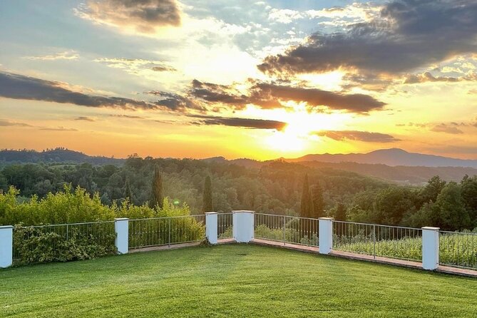 Farm To table Experience on an organic hilltop estate in Tuscany - Lunch on the estate: three courses, olive oil on bread, and wine with your work
