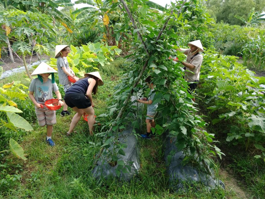 Farm-To-Table Healthy Cooking Class: Half-Day Tour - Who Should Book This Cooking Class