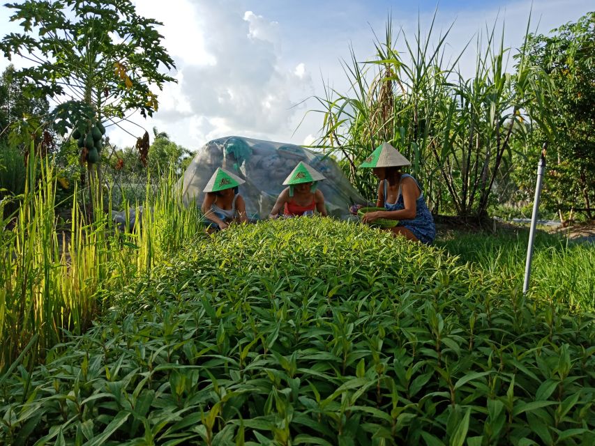 Farm-To-Table Healthy Cooking Class: Half-Day Tour - Mushrooms and Rice: Two Food Staples With a Farmer’s View