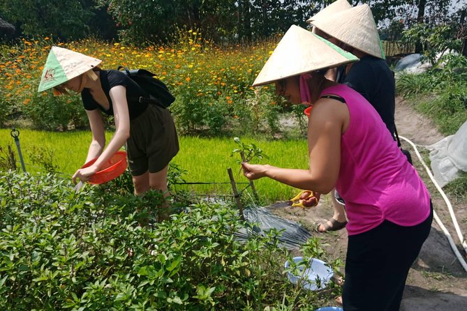 Farm-To-Table Healthy Cooking Class in Ho Chi Minh City - The Short Reset: Fruit and a Hammock Before You Cook