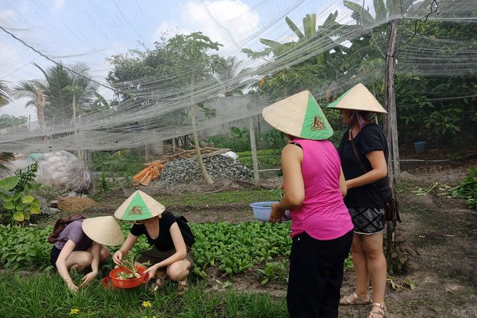 Farm-To-Table Healthy Cooking Class in Ho Chi Minh City - Lunch, Refreshments, and Alcohol Choices