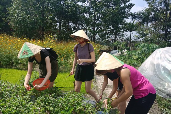 Farm-To-Table Healthy Cooking Class in Ho Chi Minh City - What You Take Home: Recipes and a Certificate