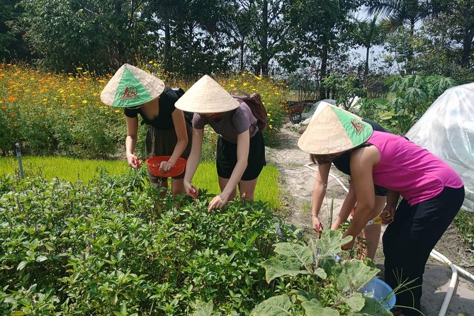 Farm-To-Table Healthy Cooking Class in Ho Chi Minh City - Getting From Your Hotel to the Agricultural Villages