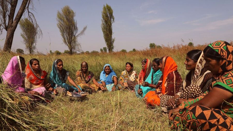 Farm to Table: With a local farmer family - Meet the farmers and pluck fresh veggies together