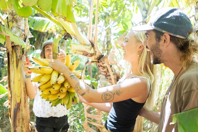 Farm to Taco: A Farm to Table Cooking Class - Lā Kāhea Community Farm: the Maui setting that makes tacos taste better