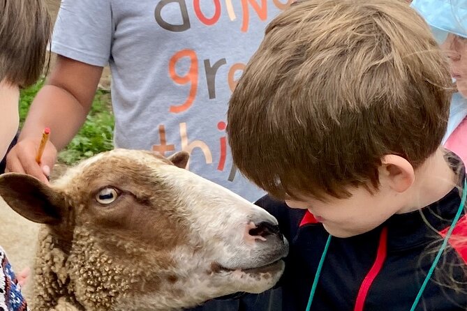Farm Tour at Clover Brooke Llama/Alpaca/Goat Farm - Why a Catskills farm tour beats a quick zoo stop