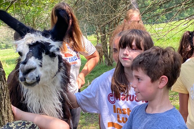 Farm Tour at Clover Brooke Llama/Alpaca/Goat Farm - What the guide actually teaches you about farm animal behavior