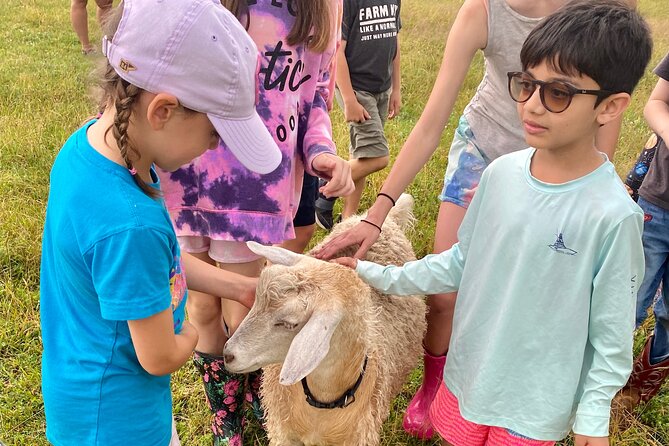 Farm Tour at Clover Brooke Llama/Alpaca/Goat Farm - Price and value: is $21.50 worth it?