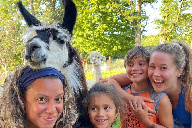 Farm Tour at Clover Brooke Llama/Alpaca/Goat Farm - Practical tips so you get the most out of your hour