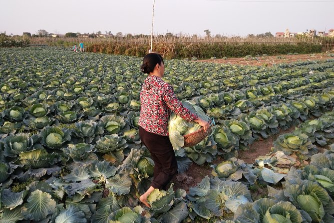 Farm tour & Home cooking class with local family in Hanoi - Key highlights to look for