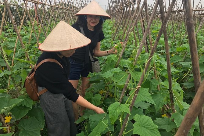 Farm tour & Home cooking class with local family in Hanoi - The 400-year communal house and what it teaches you