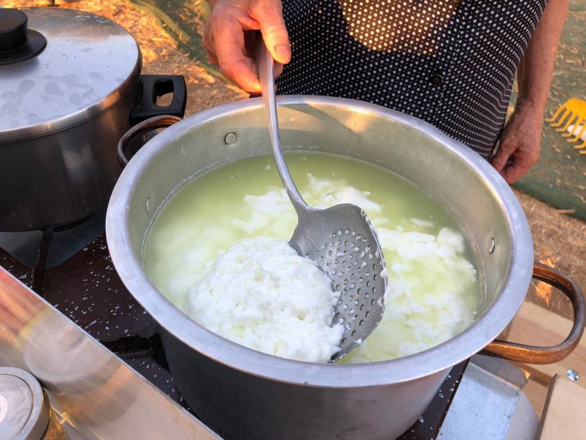 Farm Tour with Cheese-Making, Olive Oil Tasting & Picnic - Time, pace, and what to bring (and what to skip)