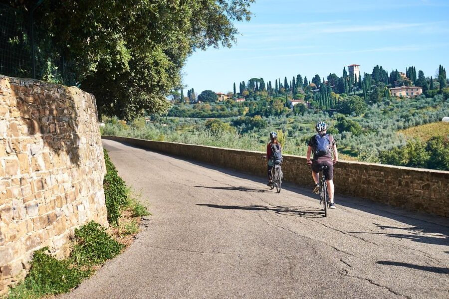 Florence: Chianti Hills Bike Tour with Farm Lunch & Wine - Two Hours of Olive Groves and Hillside Roads (with breaks built in)