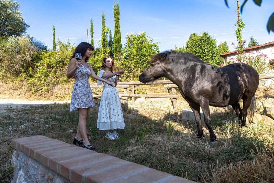 Florence: Cooking Class on a Traditional Tuscan Farm - Getting Out of Florence: The Car Ride Toward Chianti Hills
