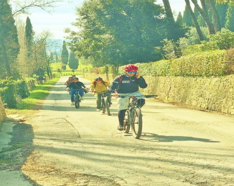 Florence: Country Ebike tour + Wine tasting in organic farm - What You Ride Through: Olive Trees, Vineyards, and Panoramas