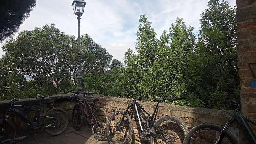 Florence: Country Ebike tour + Wine tasting in organic farm - Enrico’s Style: Safety, Comfort, and Local Perspective