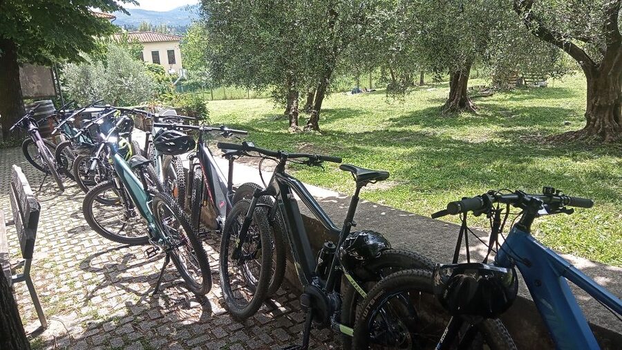Florence: Country Ebike tour + Wine tasting in organic farm - Pickup Near Your Hotel and Small-Group Comfort