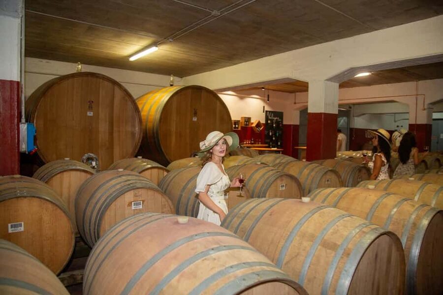 Florence: The secret of wine, cheese and olive oil at a farm - Key Things I’d Prioritize Before You Go