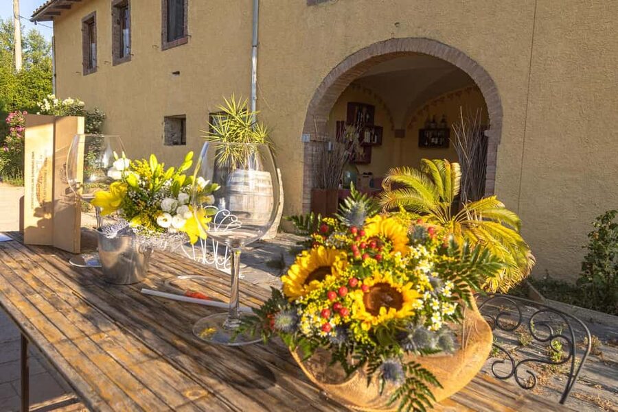 Florence: The secret of wine, cheese and olive oil at a farm - Small Group Dynamics: What 8 People Changes