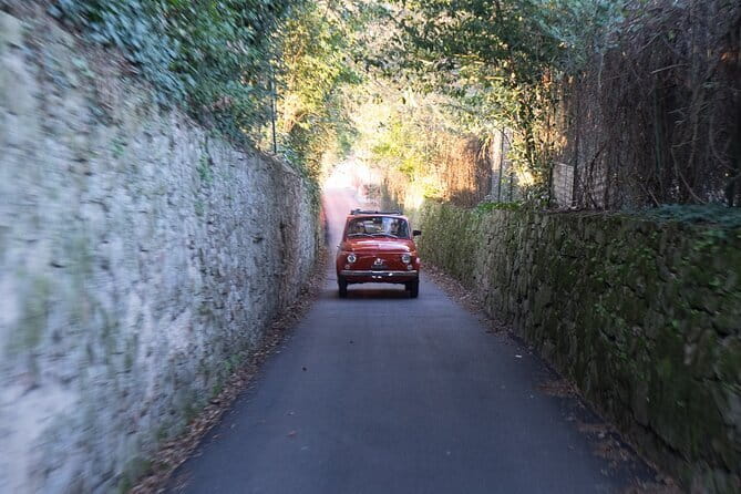 Florence Vintage Fiat 500 Tour with Wine Tasting at Farm - Wine and extra-virgin olive oil on a family farm