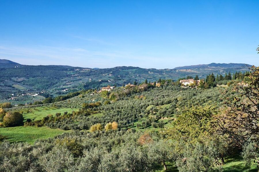 Florence: Vintage Fiat 500 Tour with Wine Tasting at Winery - Viewpoint timing and the best photos with your classic car
