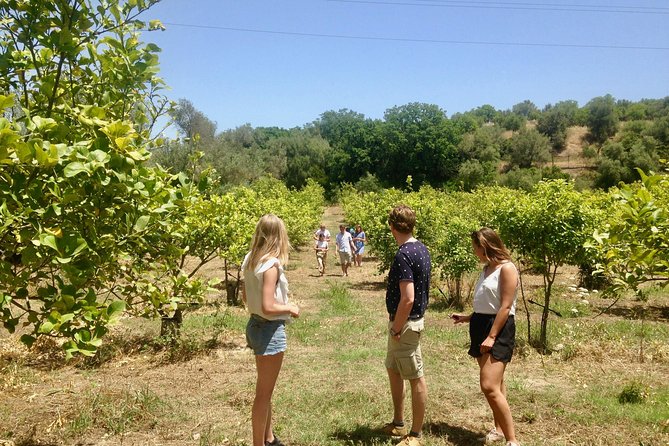 Food Experience at our Farm in Noto Hills - What you learn from Fabio and Annarella