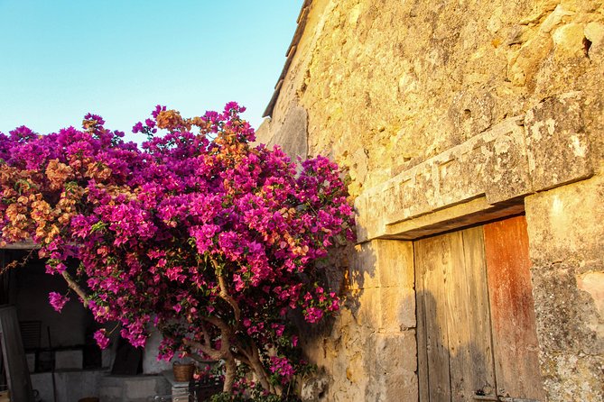 Food Experience at our Farm in Noto Hills - Value check: is $148.54 per person worth it?