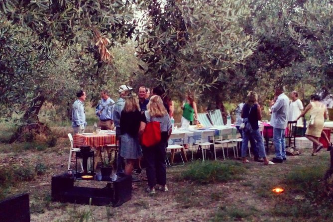 Food Experience at our Farm in Noto Hills - Three Farms Island: regenerative agriculture you can actually see