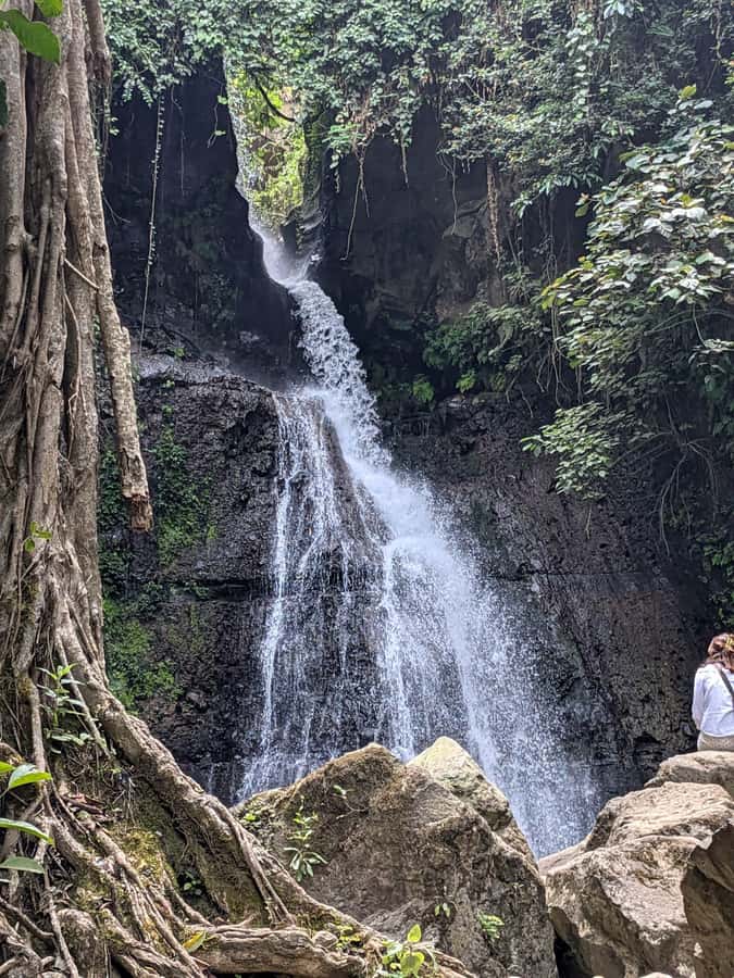 From Arusha: Coffee Farm and Mangalia Waterfalls Tour - The scenic break with Mount Meru and Kilimanjaro: where the day turns relaxed