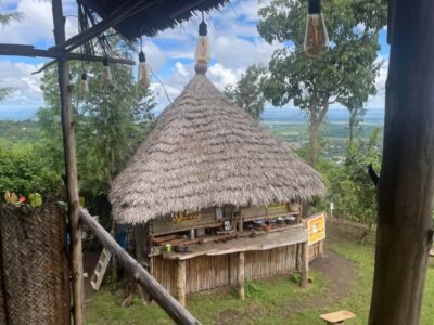From Arusha: Coffee Farm and Mangalia Waterfalls Tour - The coffee farm: what you’ll learn (and actually see) on the guided tour