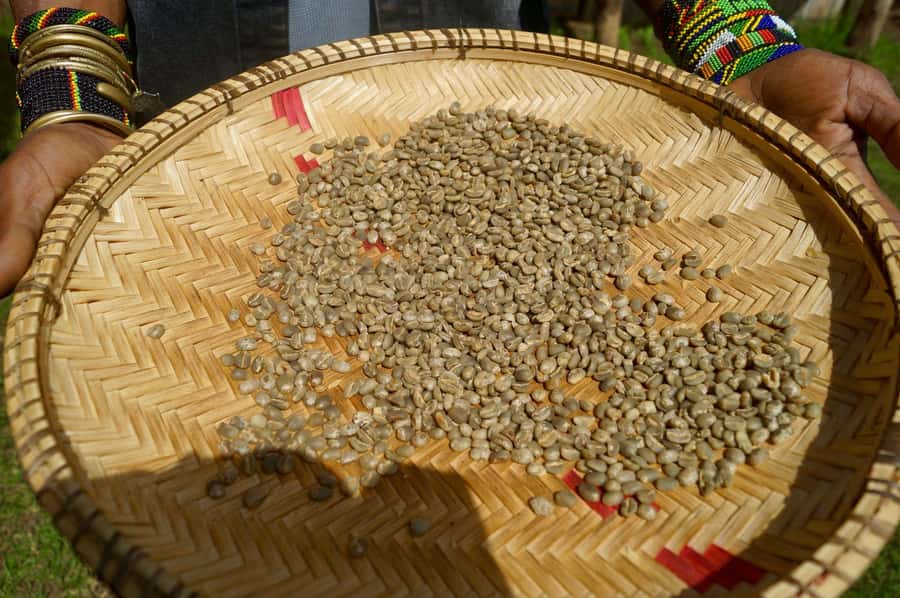 From Arusha: Coffee Farm and Mangalia Waterfalls Tour - What to bring for a smooth coffee-and-waterfalls day
