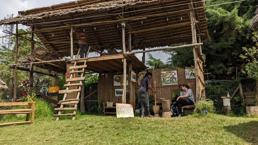 From Arusha: Coffee Farm and Mangalia Waterfalls Tour - Who should book this tour (and who might not love it)