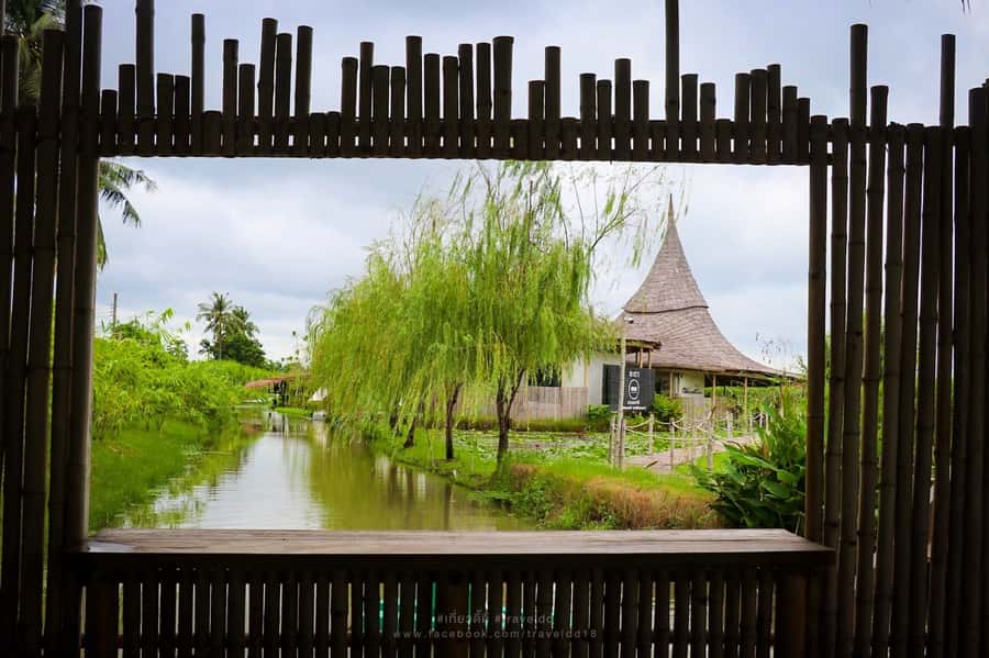 From Bangkok: Mahasawat Canal and farm with Lunch - Lotus farm and herbal walk: where you paddle, pick, and learn