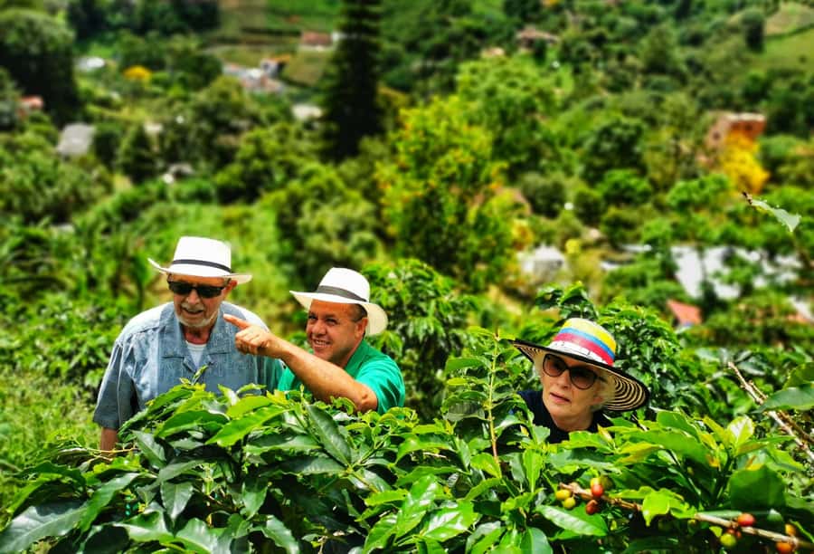 From Bogota: 5 hour guided coffe farm tour - All included - From Bogotá pickup to Ubaque coffee country