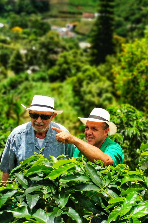 From Bogota: 5 hour guided coffe farm tour - All included - What you’re really paying for: value at $118 per person