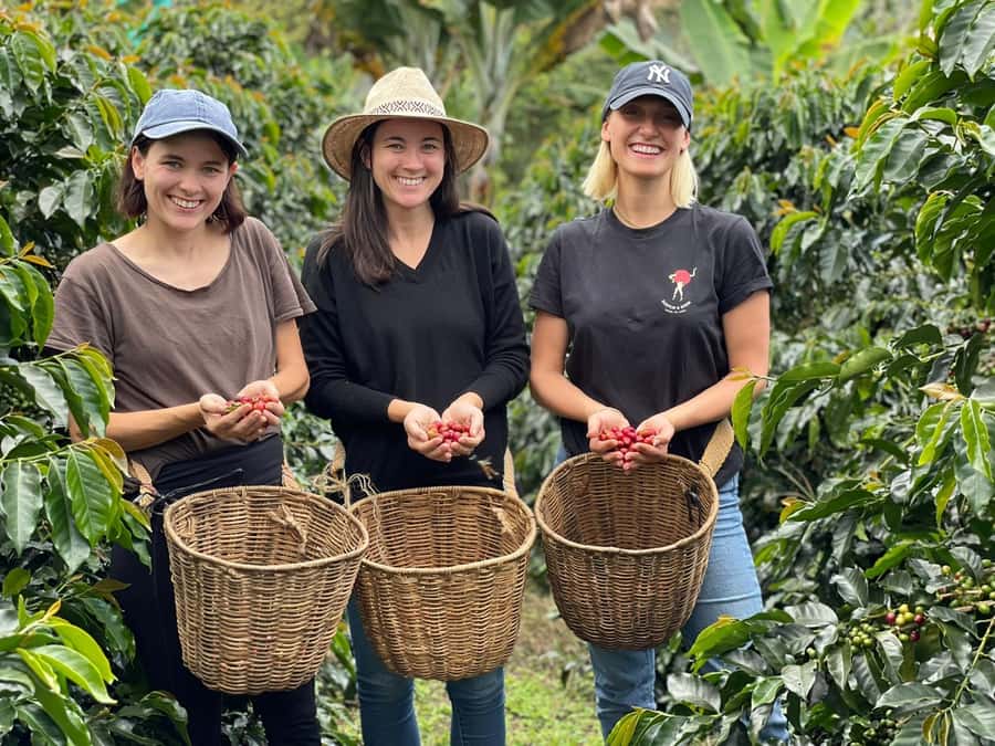 From Bogota: 5 hour guided coffe farm tour - All included - Breakfast in Ubaque: the meal that powers the morning